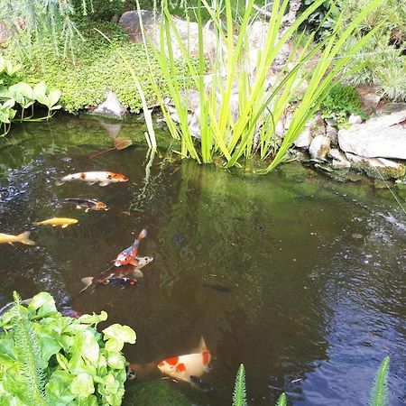 Apartman Koi Apartment Veltrusy Luaran gambar