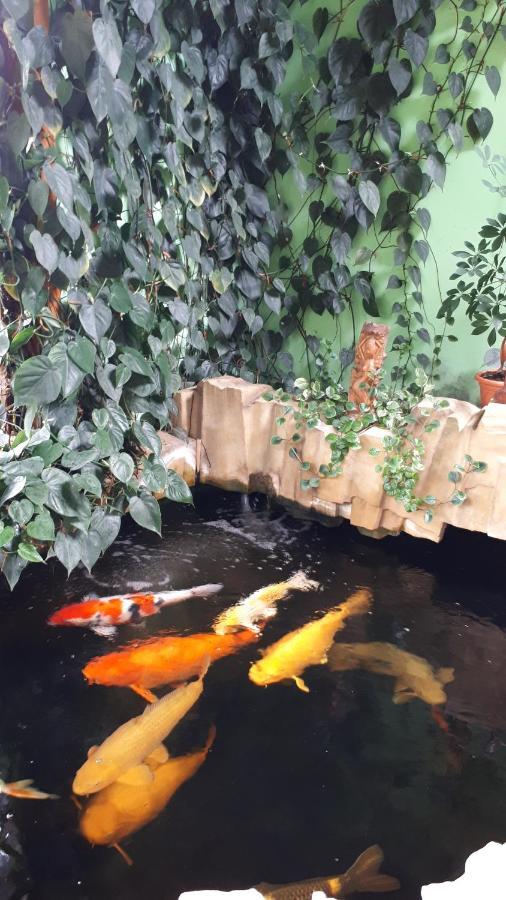 Apartman Koi Apartment Veltrusy Luaran gambar